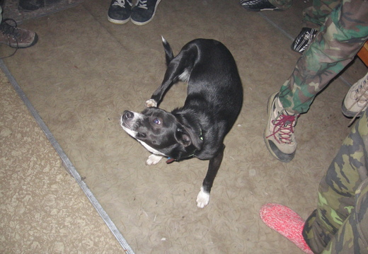 IMG 3926