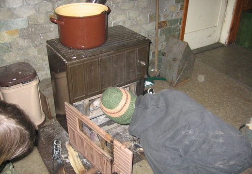 IMG 3950