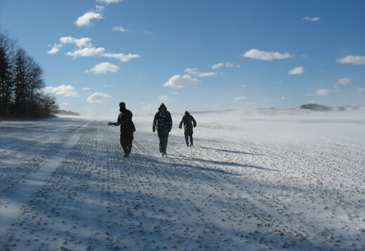 IMG 7834