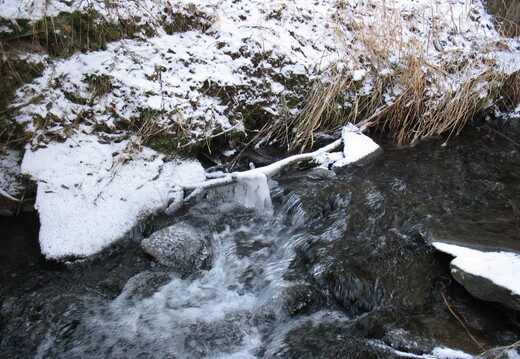 IMG 7845