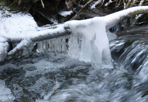 IMG 7846