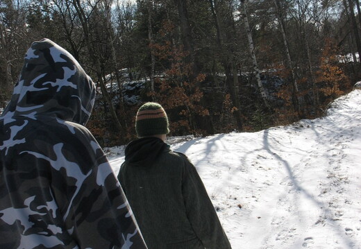 IMG 7847