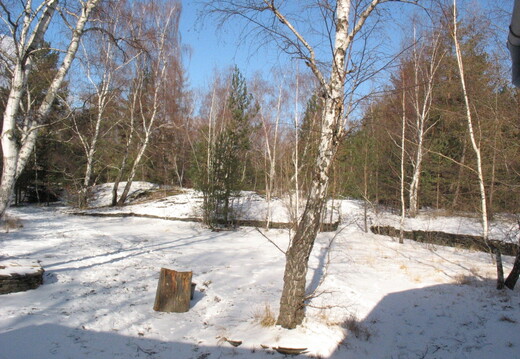 IMG 7852