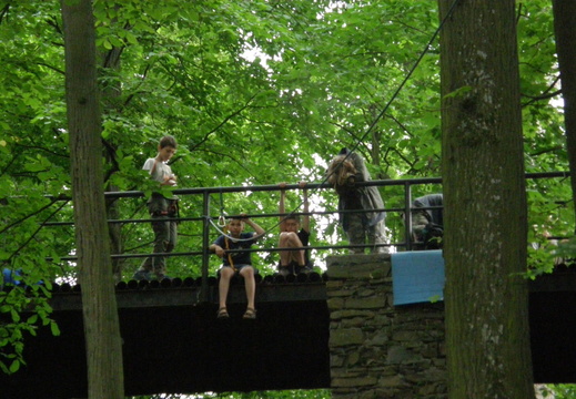 P6080447