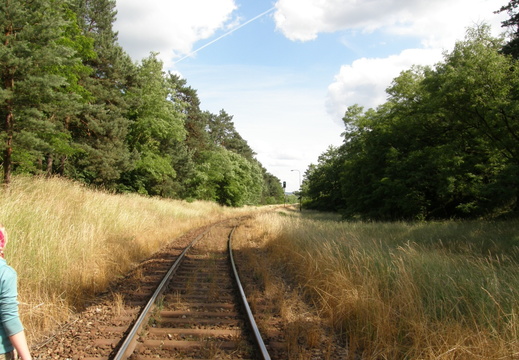 P6140459