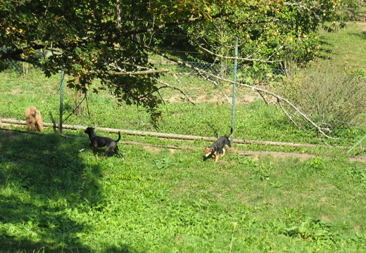 Snimek060
