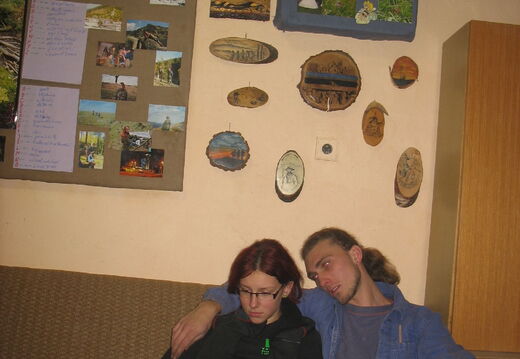 IMG 3582
