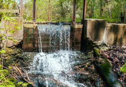 IMG 0393-Edit (1576 visits) IMG 0393-Edit