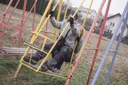 img-54